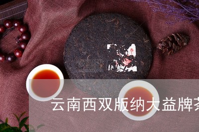 云南西双版纳大益牌茶/2023092178379