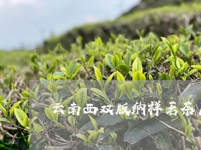 云南西双版纳祥茗茶厂/2023071689380