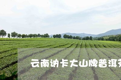 云南讷卡大山牌普洱茶/2023062030502