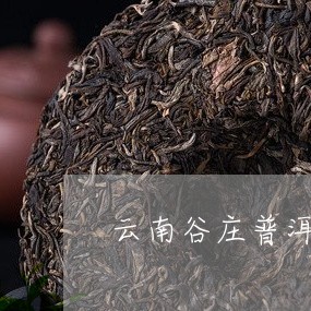 云南谷庄普洱茶熟茶/2023100703825