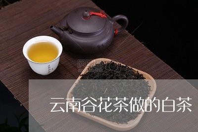 云南谷花茶做的白茶/2023121676371