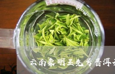 云南象明王先号普洱茶/2023062049582