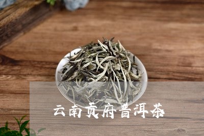 云南贡府普洱茶/2023081896159