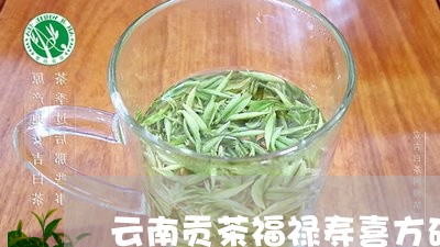 云南贡茶福禄寿喜方砖/2023060906168