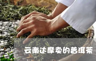 云南达摩卖的普洱茶/2023082861717