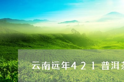 云南远年421普洱茶/2023100831695