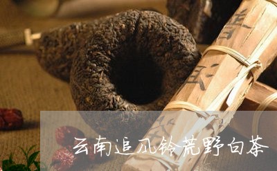 云南追风铃荒野白茶/2023081214717