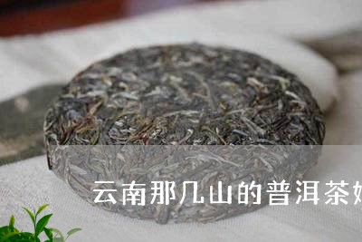 云南那几山的普洱茶好/2023092876340