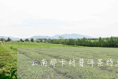 云南那卡村普洱茶特点/2023072418614