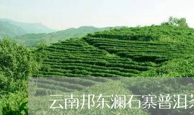 云南邦东澜石寨普洱茶/2023072363149