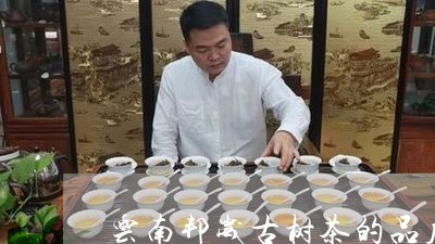 云南邦崴古树茶的品质澜沧古茶标志/2023060471503