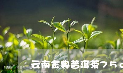 云南金典普洱茶75g/2023092883717