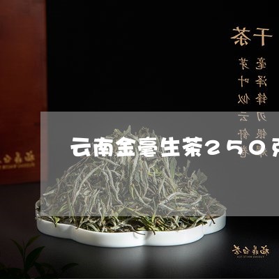 云南金毫生茶250克/2023071610403