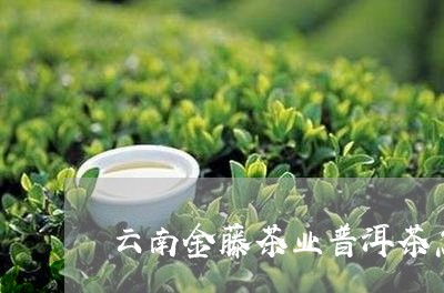 云南金藤茶业普洱茶怎么样/2023081516351