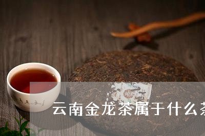 云南金龙茶属于什么茶/2023071606261