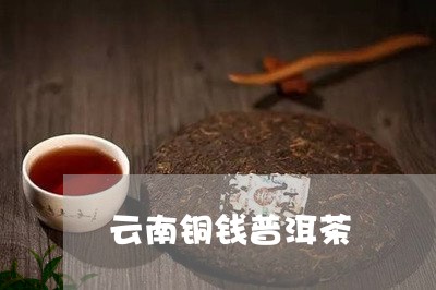 云南铜钱普洱茶/2023101662705