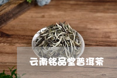 云南铭品堂普洱茶/2023081679404