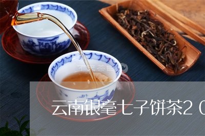 云南银毫七子饼茶2011年/2023052631727