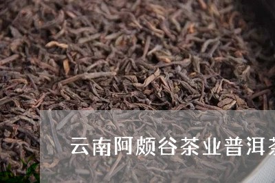 云南阿颇谷茶业普洱茶/2023062286293