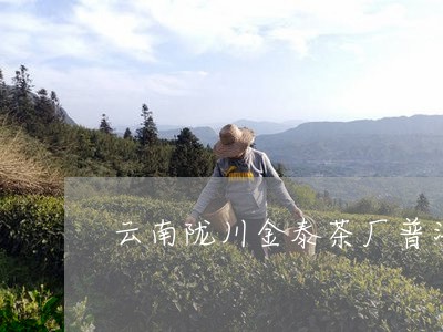 云南陇川金泰茶厂普洱茶熟茶/2023052760947