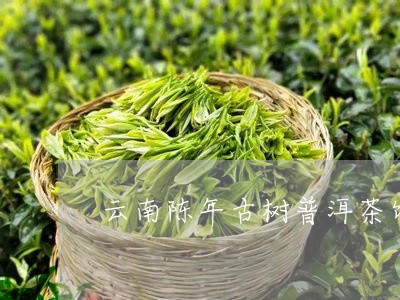 云南陈年古树普洱茶饼/2023120706148