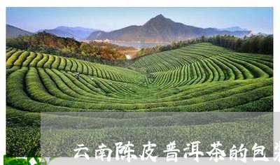 云南陈皮普洱茶的包装/2023062313026