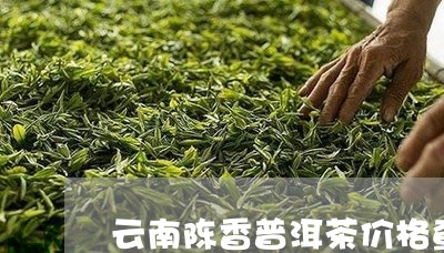 云南陈香普洱茶价格查询最新/2023110298394