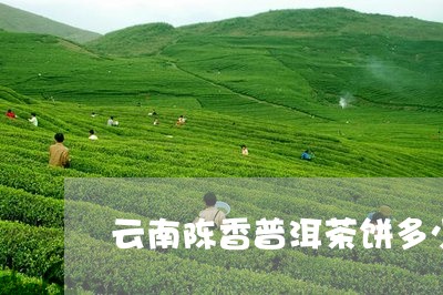 云南陈香普洱茶饼多少钱/2023101786039