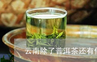 云南除了普洱茶还有什么名茶/2023052917691