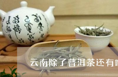 云南除了普洱茶还有啥/2023080106057