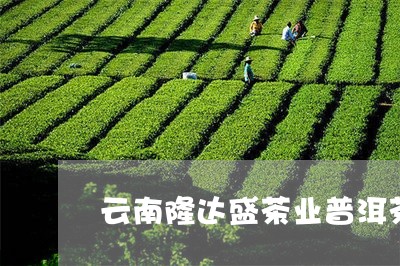 云南隆达盛茶业普洱茶/2023062455047