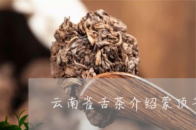 云南雀舌茶介绍蒙顶雀舌茶奉献/2023053150483