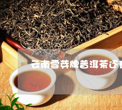 云南雪芽牌普洱茶还有吗/2023120781484