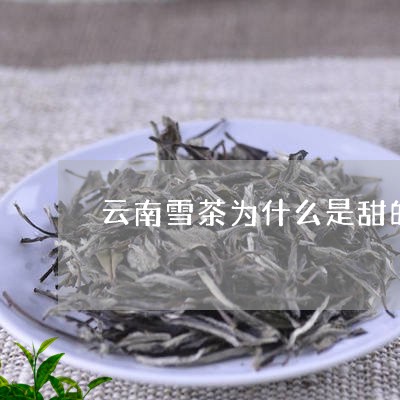 云南雪茶为什么是甜的/2023071682724