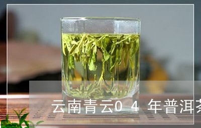 云南青云04年普洱茶/2023080140473