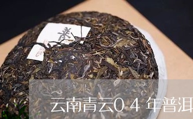 云南青云04年普洱茶/2023100681949