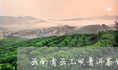 云南青云工贸普洱茶饼/2023080233947