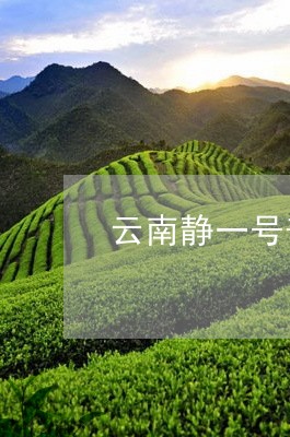 云南静一号普洱茶价格/2023072449514