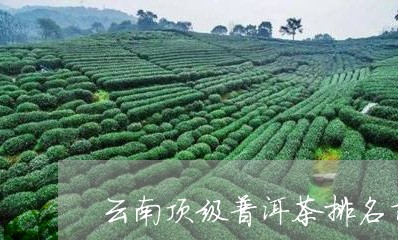 云南顶级普洱茶排名前十/2023082808259