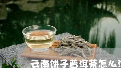 云南饼子普洱茶怎么泡/2023080223827