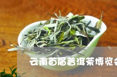 云南首届普洱茶博览会/2023062398473