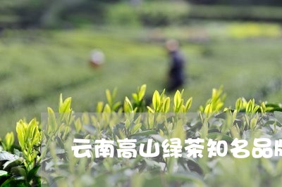 云南高山绿茶知名品牌/2023092141615