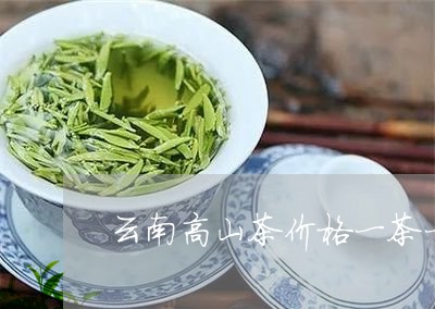 云南高山茶价格一茶一水一林间/2023053121723