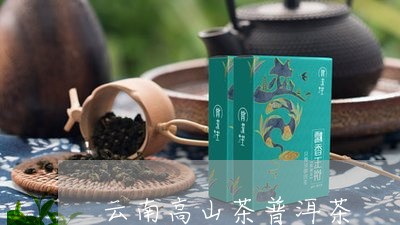 云南高山茶普洱茶/2023120445747