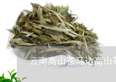 云南高山茶马边高山茶是什么茶/2023053110594