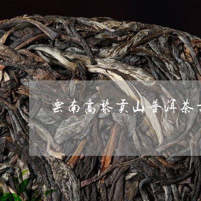 云南高黎贡山普洱茶古树茶乔木王/2023060241583