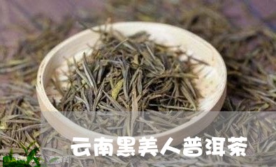 云南黑美人普洱茶/2023120471594