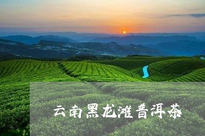 云南黑龙滩普洱茶/2023082821603