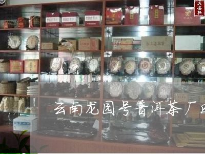 云南龙园号普洱茶厂成立哪一年/2023053038272