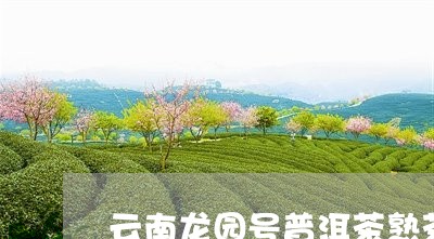 云南龙园号普洱茶熟茶/2023100740303